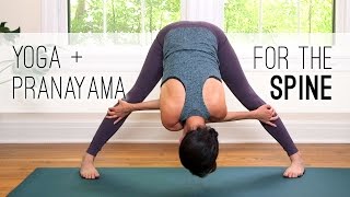 Yoga  Pranayama for the Spine  Yoga With Adriene [upl. by Rotceh465]