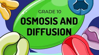 Diffusion and Osmosis [upl. by Mcginnis]