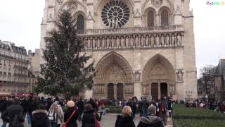 All bells ringing at Notre Dame Cathedral in Paris [upl. by Nauq]