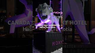 Canada’s First MOXY HOTEL [upl. by Ikiv]