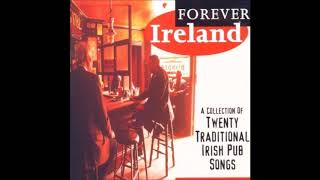 Forever Ireland  20 Irish Traditional Drinking Song Collection irishdrinkingsongs [upl. by Myk]