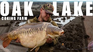 Coking Farm  UK 48lb CARP [upl. by Moyer]