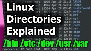 Linux File SystemStructure Explained [upl. by Nagol326]