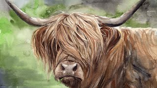 Watercolor Highland Cow Painting Tutorial [upl. by Ahsuatan345]