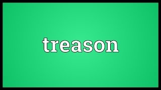 Treason Meaning [upl. by Ninehc]