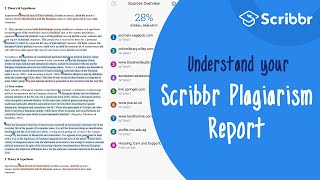 The Scribbr Plagiarism Report Explained  Scribbr 🎓 [upl. by Sager]