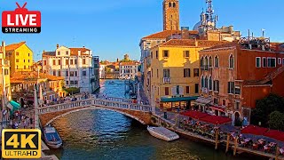 🔴 4K Live Cam of Ponte delle Guglie Venice  View from Hotel Leone Venezia  Live stream ライブカメラ [upl. by Airak]