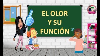 El olor y su función El sentido del olfato [upl. by Fogarty455]