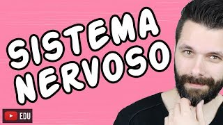 SISTEMA NERVOSO  FISIOLOGIA  Aula  Biologia com Samuel Cunha [upl. by Rednaeel358]