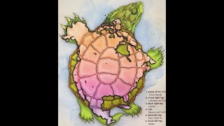 the Ojibwe Legend of Turtle Island [upl. by Ednutey41]