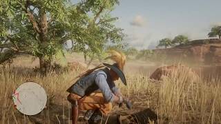 RDR2 Online Splintered Arrowhead  Hennigans Stead [upl. by Ennovyahs]