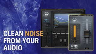 How To Clean Unwanted Noise in Audio Waves WNS  NS1 Tutorial [upl. by Clementina894]