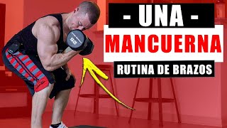 Rutina de Brazos con Una Mancuerna RUTINAS CON UNA MANCUERNA  Rutina de Biceps y Triceps en Casa [upl. by Elyrehc]