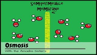 OLD VIDEO Osmosis [upl. by Abdulla]