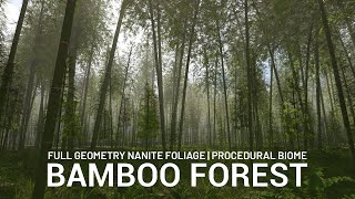 Bamboo Trees Forest Biome  Unreal Engine  Full Geometry Nanite Foliage  FAB Marketplace [upl. by Sylvie701]