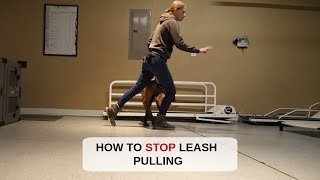 How To Stop Your Dog From Pulling On The Leash [upl. by Enaid]