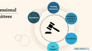 What are Congressional Committees [upl. by Ednutabab]