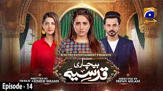 Bechari Qudsia  Episode 14  1st August 2021  HAR PAL GEO [upl. by Rhpotsirhc]