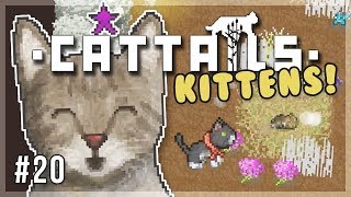 Happy Birthday  Cattails Lets Play  Episode 20 [upl. by Clara]