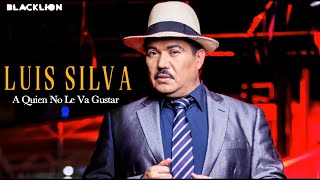 Luis Silva  A Quien No Le Va Gustar Audio Oficial [upl. by Tal]