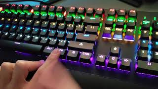 Blackweb Mechanical RGB Gaming KeyboardUnboxing and Review [upl. by Opiuuk800]