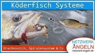 Köderfisch Systeme Spinnfischen mit Natur pur [upl. by Caresse]