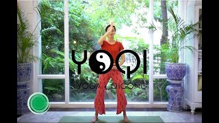 Qigong for Beginners [upl. by Mossolb769]