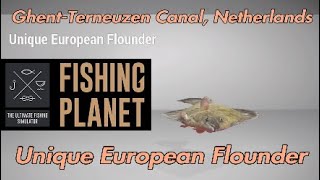 Unique European Flounder  GhentTerneuzen Canal Netherlands  Fishing Planet Guide [upl. by Vachil275]