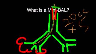 VMX 2018 Blind Bronchoalveolar Lavage Fast and Simple [upl. by Areemas]