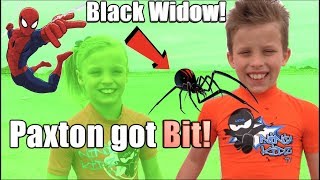 Paxton got bit by a BLACK WIDOW HE is SPIDERMAN [upl. by Anahsohs609]