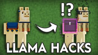 Minecraft Llamas  Facts That You Probably Didnt Know About [upl. by Scandura]