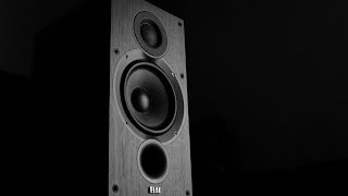 Review The ELAC B62 Debut 20 loudspeaker [upl. by Vanna]