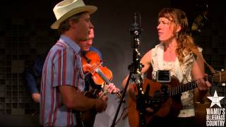 Foghorn Stringband  Im Longing For Home Live at WAMUs Bluegrass Country [upl. by Eimmat]