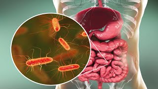 Microorganisms and Humans Commensal and Pathogenic Flora [upl. by O'Kelly]