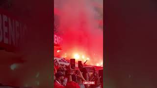 E o Benfica É CAMPEAO 🔥🔥 [upl. by Aynod]