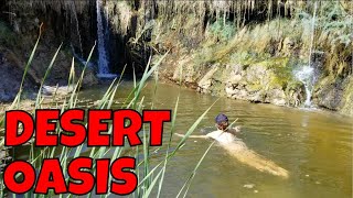 Ruins Oasis Beer Hot Springs Hiking the Amargosa River Trail From China Ranch to Tecopa [upl. by Anoved]