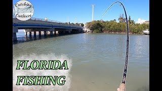 Florida Inshore Fishing Fort Myers amp Sanibel Island MultiSpecies [upl. by Eelibuj]