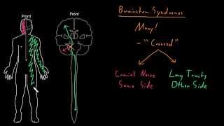 Stroke Rehabilitation at Helen Hayes Hospital Part Two [upl. by Ennail302]