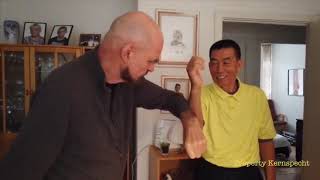 GM Kernspecht  Old Style Yip Man Wing Chun [upl. by Mayeda]