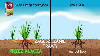 Substraljak działa trawa SAMOzagęszczajaca [upl. by Ned114]