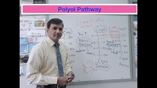 Polyol Pathway or Sorbitol Pathway [upl. by Ries749]