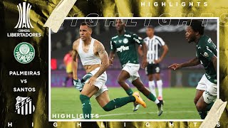 Palmeiras vs Santos  LIBERTADORES FINAL HIGHLIGHTS  1302021  beIN SPORTS USA [upl. by Akital398]