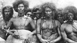 Untold History Of The Aborigines Of America  African Americans Are Indigenous To America Not Africa [upl. by Annaul673]