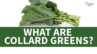 What Are Collard Greens [upl. by Slotnick]