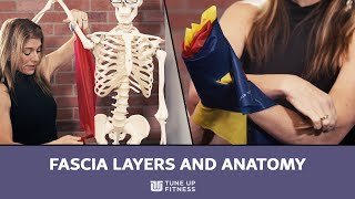 Fascia Layers and Anatomy 101 [upl. by Iramo]