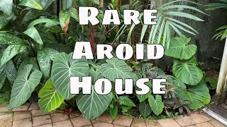 Rare Aroid House Anthurium Philodendron Begonia Alocasia Fairchild Gardens Miami [upl. by Elsi342]