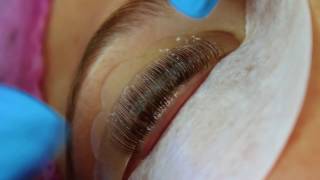 Lash Lift Procedure [upl. by Ludlew]