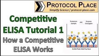 Competitive ELISA Tutorial 1 How a Competitive ELISA Works [upl. by Gurias]