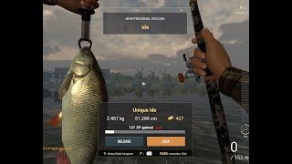 Fishing Planet – How to catch Unique Ide at GhentTerneuzen Canal Netherlands [upl. by Amary]