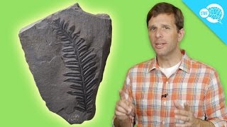 How Carbon Dating Works [upl. by Yhtamit]